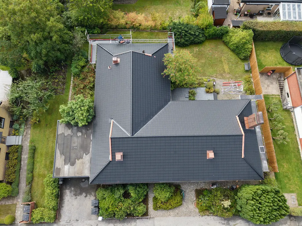 Det f&auml;rdiga taket, dr&ouml;narvy